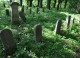 Havlíčkův Brod - tyfový hřbitov