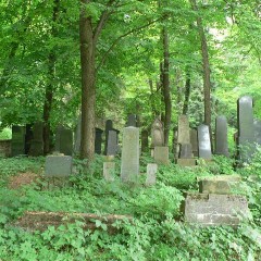 Attività turistica (cimitero ebraico) fonte: Vít Pechanec