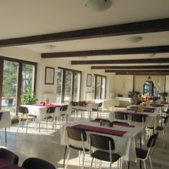Restaurant, Cafe, Summer terrace / garden source: 