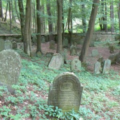 Turistická atraktivita (židovský hřbitov) zdroj: Destinační společnost Orlické hory a Podorlicko