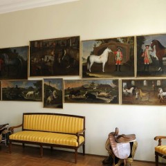 Atrakcja turystyczna (pałac) źródło: Centrum Informacji Turystycznej Hradec Králové