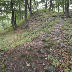 Tourist site (ruins) source: Králové Hradec region