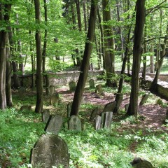 Turistická atraktivita (židovský hřbitov) zdroj: Královéhradecký kraj