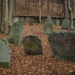 Turistická atraktivita (židovský hřbitov) zdroj: Královéhradecký kraj