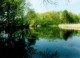Písečný rybník - přírodní rezervace