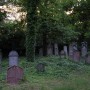 Kostelec u Křížků - Jewish cemetery