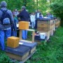 Naučná včelařská stezka Cesty medu