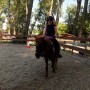 Jezdecká školička Pony Park