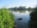 Chropyňský rybník - národní přírodní památka